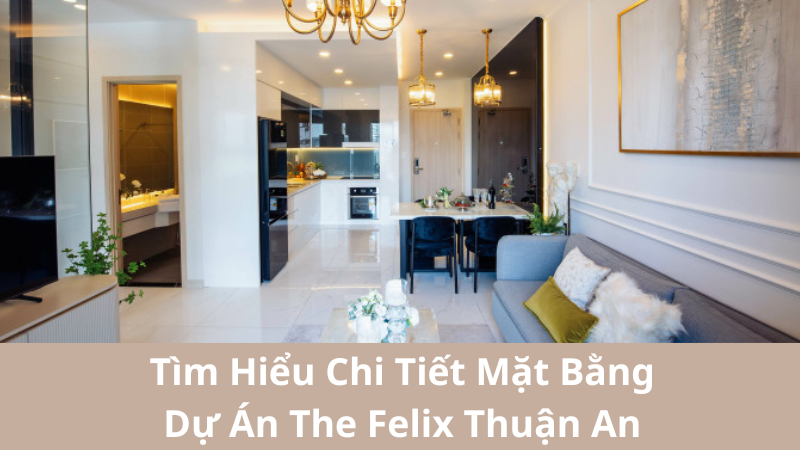 Tìm Hiểu Chi Tiết Mặt Bằng Dự Án The Felix Thuận An